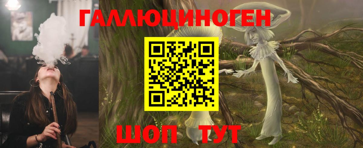 Красный Сулин  Псилоцибиновые грибы MAGIC MUSHROOMS  Псилоцибиновые грибы прущие грибы  Вход с VPN 